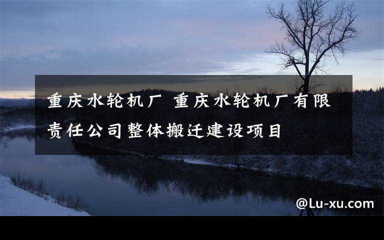 重庆水轮机厂 重庆水轮机厂有限责任公司整体搬迁建设项目