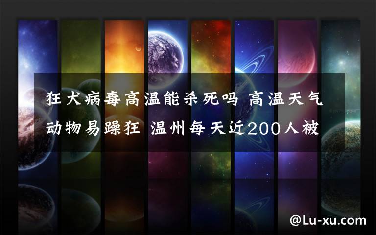 狂犬病毒高温能杀死吗 高温天气动物易躁狂 温州每天近200人被伤就诊