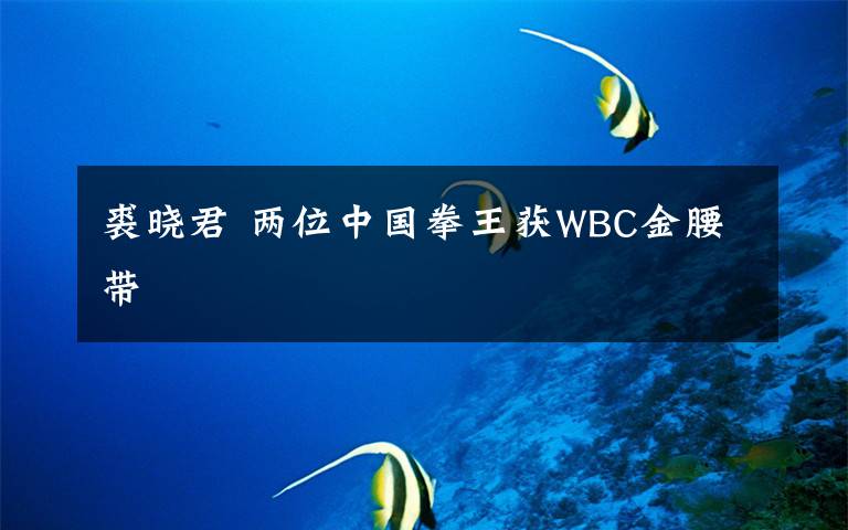 裘晓君 两位中国拳王获WBC金腰带