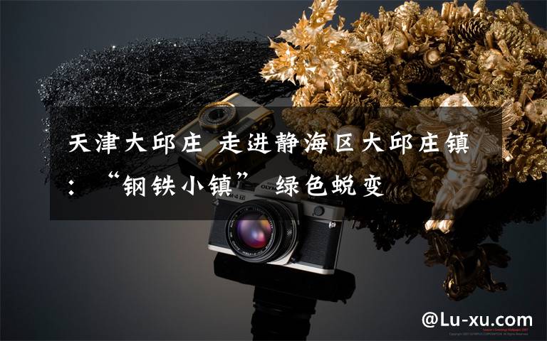 天津大邱庄 走进静海区大邱庄镇:“钢铁小镇” 绿色蜕变