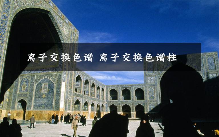 离子交换色谱 离子交换色谱柱