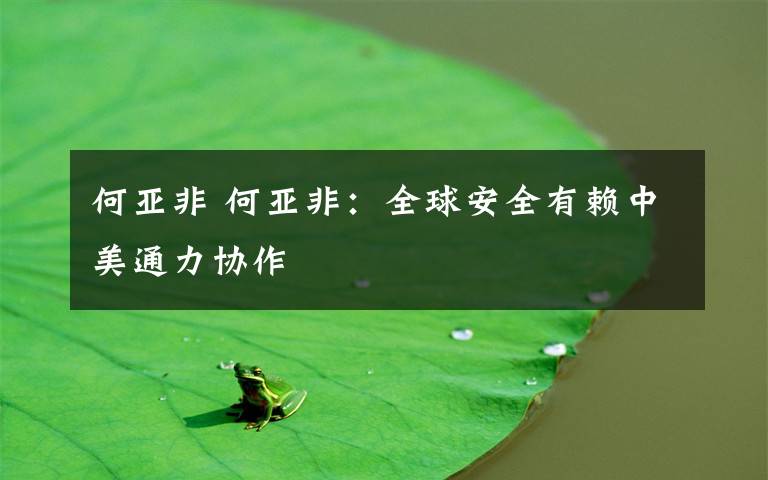 何亚非 何亚非:全球安全有赖中美通力协作