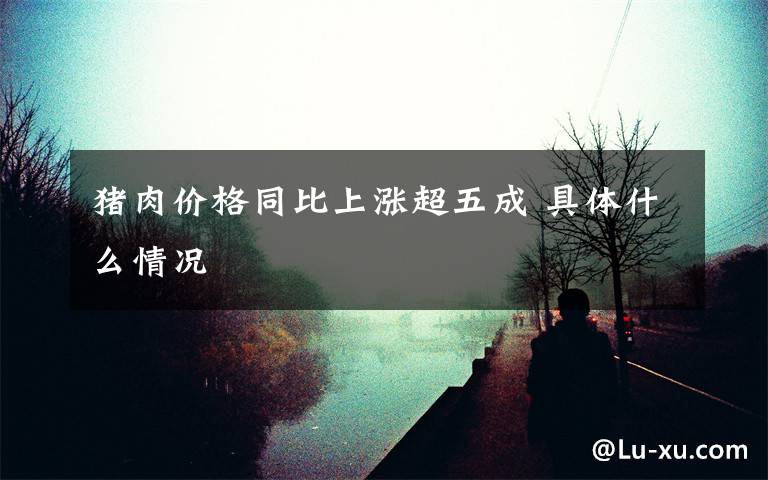 猪肉价格同比上涨超五成 具体什么情况