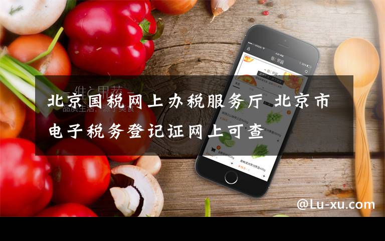 北京国税网上办税服务厅 北京市电子税务登记证网上可查