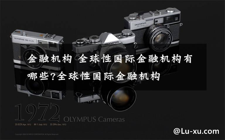 金融机构 全球性国际金融机构有哪些?全球性国际金融机构