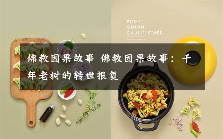 佛教因果故事 佛教因果故事：千年老树的转世报复