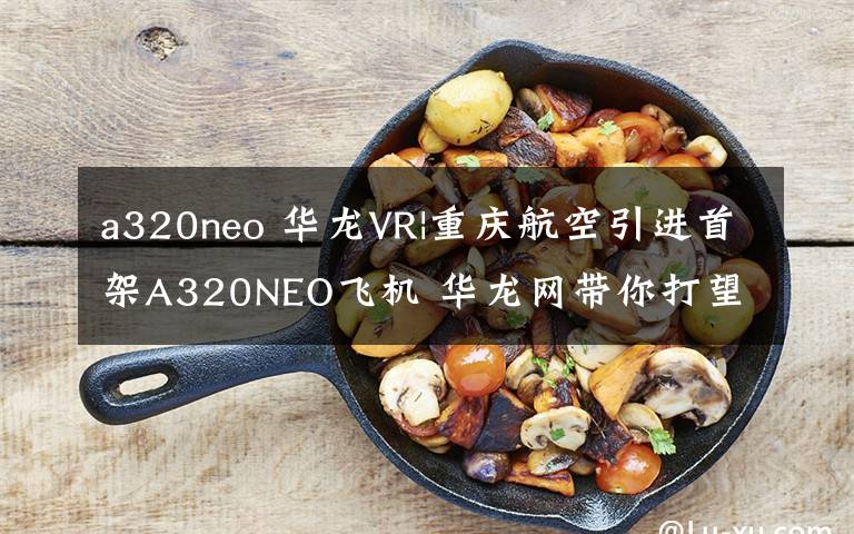 a320neo 华龙VR|重庆航空引进首架A320NEO飞机 华龙网带你打望驾驶舱