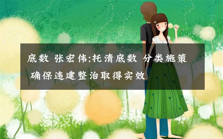 底数 张宏伟:托清底数 分类施策 确保违建整治取得实效