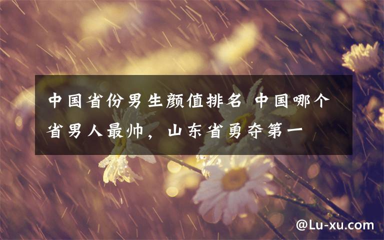 中国省份男生颜值排名 中国哪个省男人最帅，山东省勇夺第一