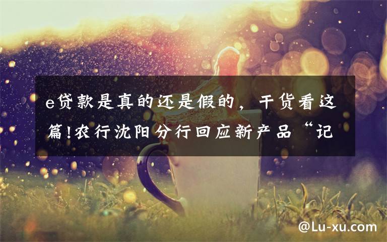 e贷款是真的还是假的,干货看这篇!农行沈阳分行回应新产品“记者e贷”:需要单位申请