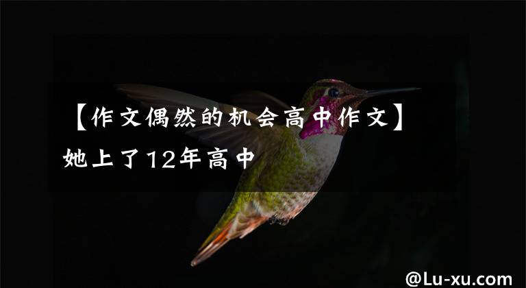【作文偶然的机会高中作文】她上了12年高中