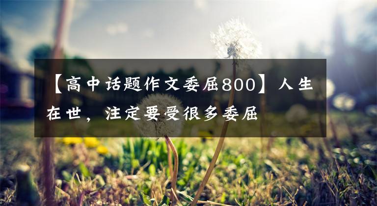 【高中话题作文委屈800】人生在世,注定要受很多委屈