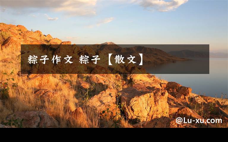 粽子作文 粽子【散文】