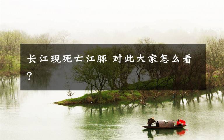 长江现死亡江豚 对此大家怎么看?