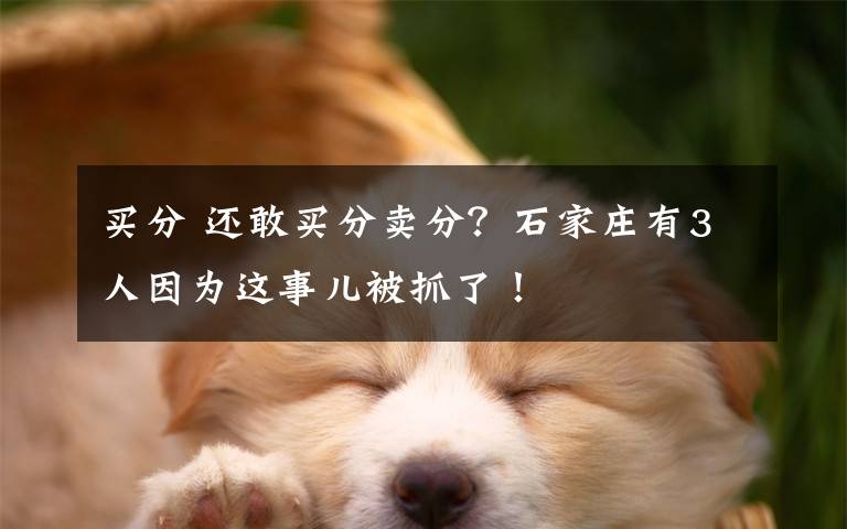 买分 还敢买分卖分?石家庄有3人因为这事儿被抓了!