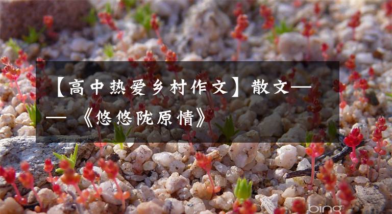 【高中热爱乡村作文】散文—— 《悠悠陇原情》