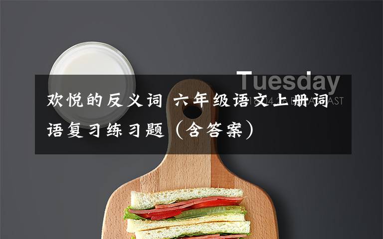 欢悦的反义词 六年级语文上册词语复习练习题（含答案）