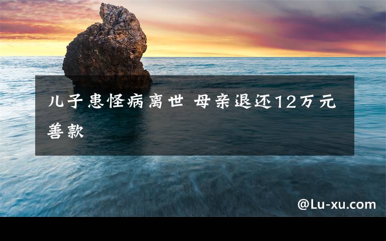 儿子患怪病离世 母亲退还12万元善款