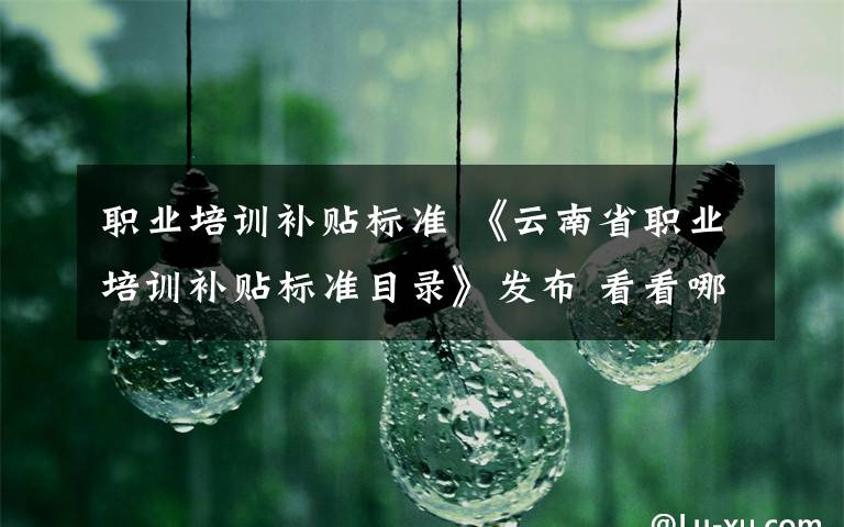 职业培训补贴标准 《云南省职业培训补贴标准目录》发布 看看哪些职业有补贴