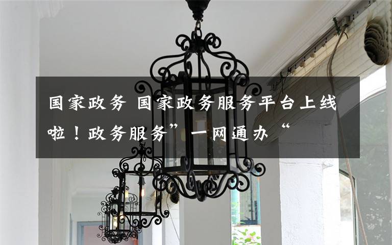 国家政务 国家政务服务平台上线啦！政务服务”一网通办“