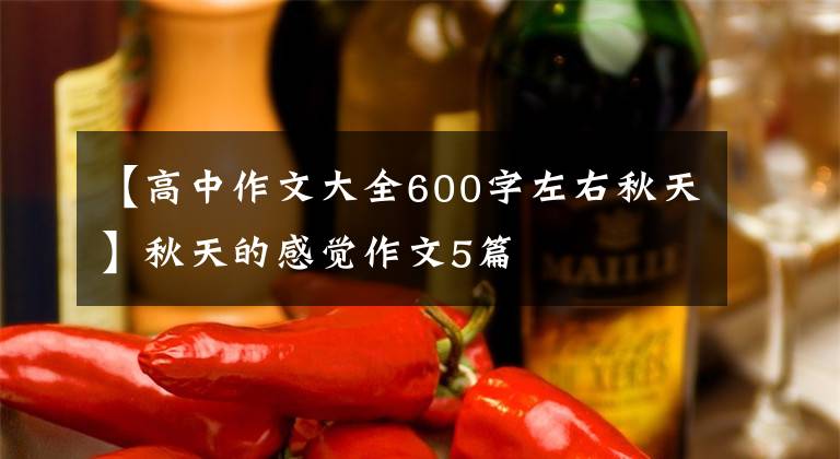 【高中作文大全600字左右秋天】秋天的感觉作文5篇