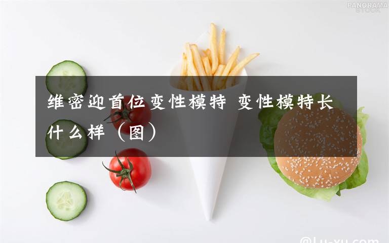 维密迎首位变性模特 变性模特长什么样(图)