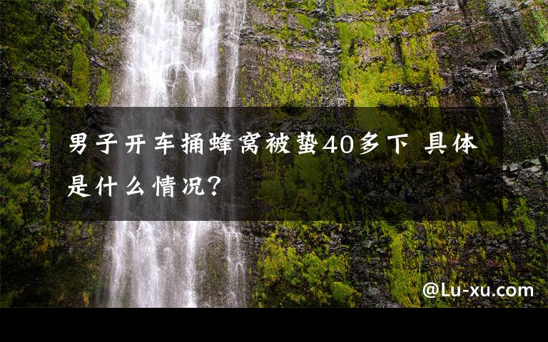 男子开车捅蜂窝被蛰40多下 具体是什么情况?