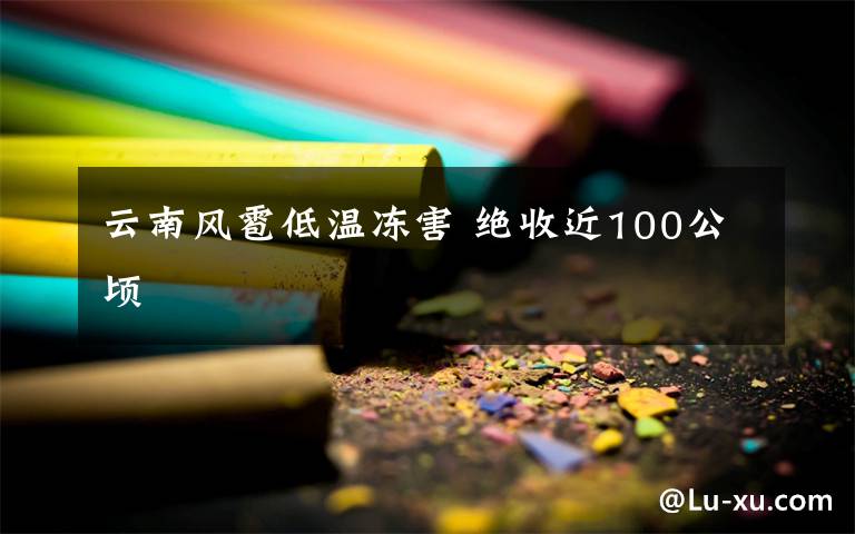 云南风雹低温冻害 绝收近100公顷