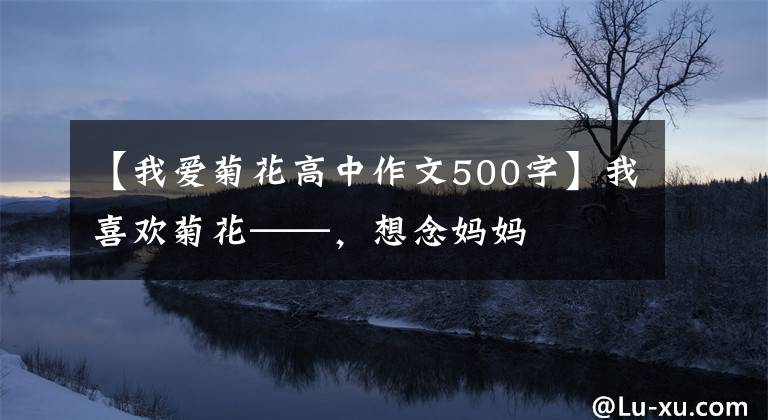 【我爱菊花高中作文500字】我喜欢菊花——,想念妈妈