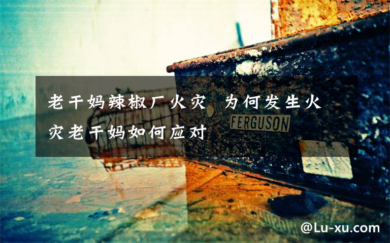 老干妈辣椒厂火灾  为何发生火灾老干妈如何应对