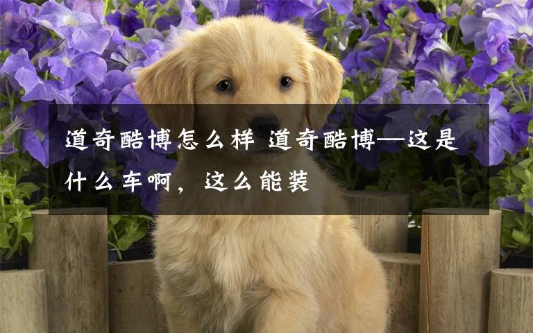 道奇酷博怎么样 道奇酷博—这是什么车啊，这么能装
