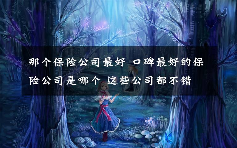 那个保险公司最好 口碑最好的保险公司是哪个 这些公司都不错