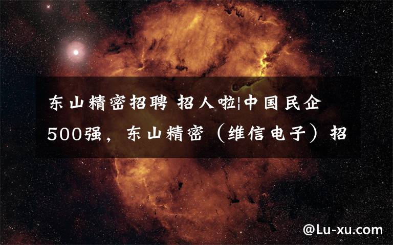 东山精密招聘 招人啦|中国民企500强,东山精密(维信电子)招人啦!