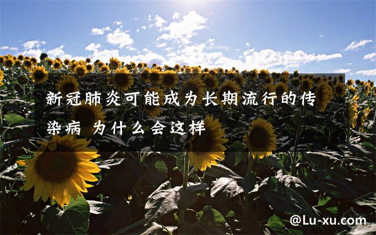 新冠肺炎可能成为长期流行的传染病 为什么会这样
