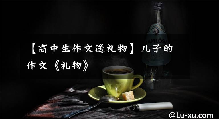 【高中生作文送礼物】儿子的作文《礼物》