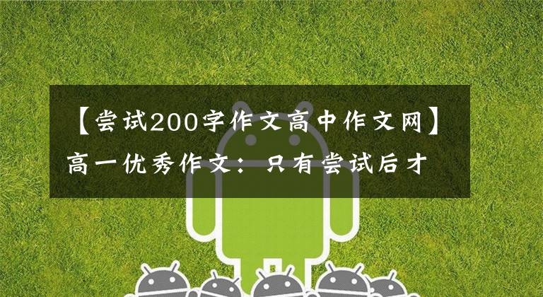 【尝试200字作文高中作文网】高一优秀作文：只有尝试后才能知道