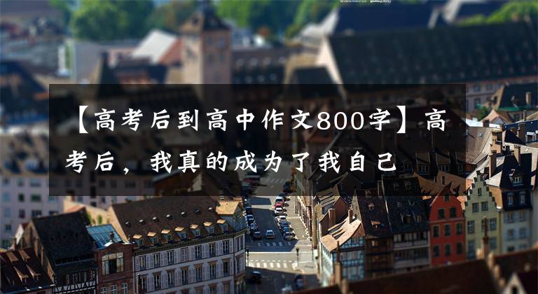 【高考后到高中作文800字】高考后,我真的成为了我自己