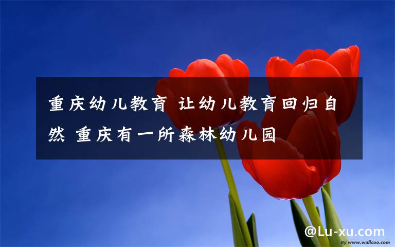 重庆幼儿教育 让幼儿教育回归自然 重庆有一所森林幼儿园