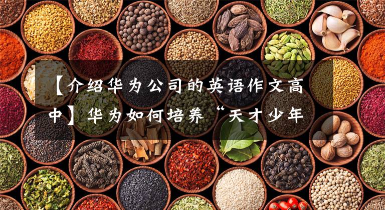 【介绍华为公司的英语作文高中】华为如何培养“天才少年”?外籍导师“老刀”讲述了作为导师的道理