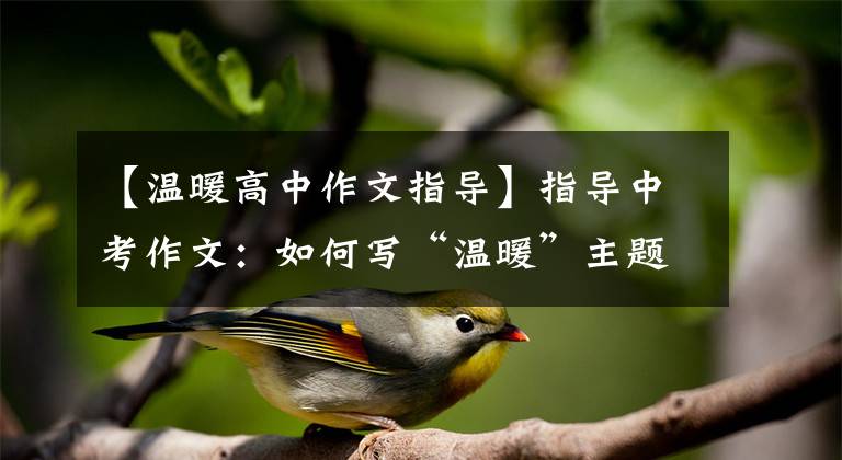 【温暖高中作文指导】指导中考作文:如何写“温暖”主题