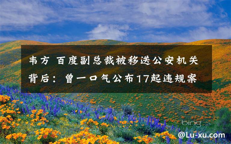 韦方 百度副总裁被移送公安机关背后：曾一口气公布17起违规案