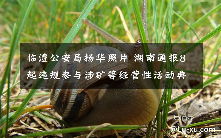 临澧公安局杨华照片 湖南通报8起违规参与涉矿等经营性活动典型案件