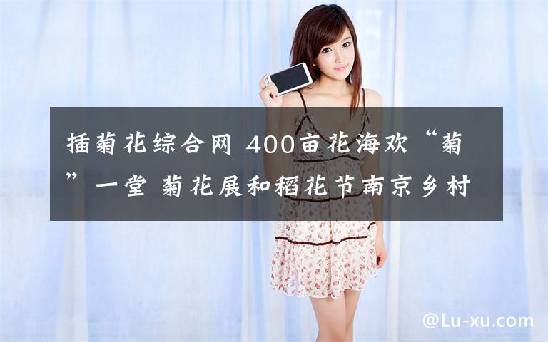 插菊花综合网 400亩花海欢“菊”一堂 菊花展和稻花节南京乡村开幕