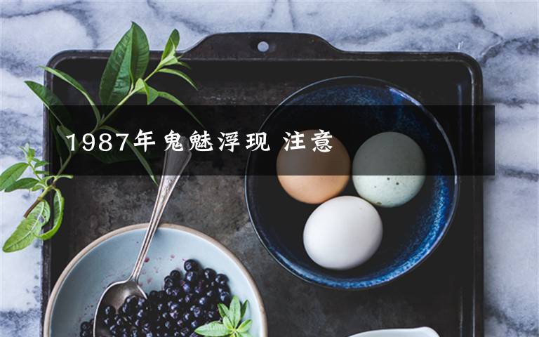 1987年鬼魅浮现 注意