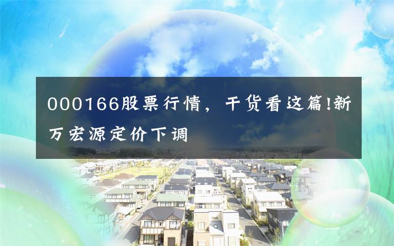 000166股票行情，干货看这篇!新万宏源定价下调