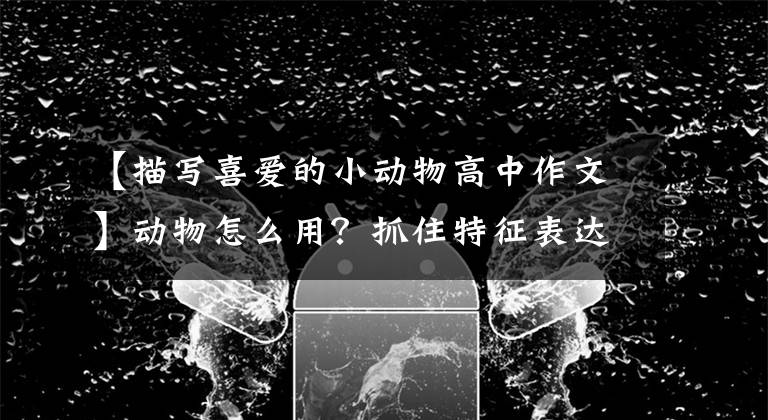 【描写喜爱的小动物高中作文】动物怎么用?抓住特征表达感情