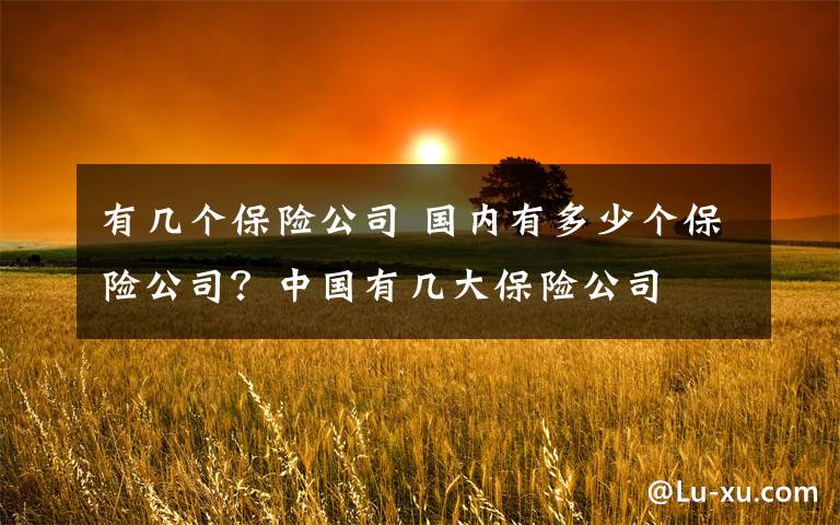 有几个保险公司 国内有多少个保险公司?中国有几大保险公司