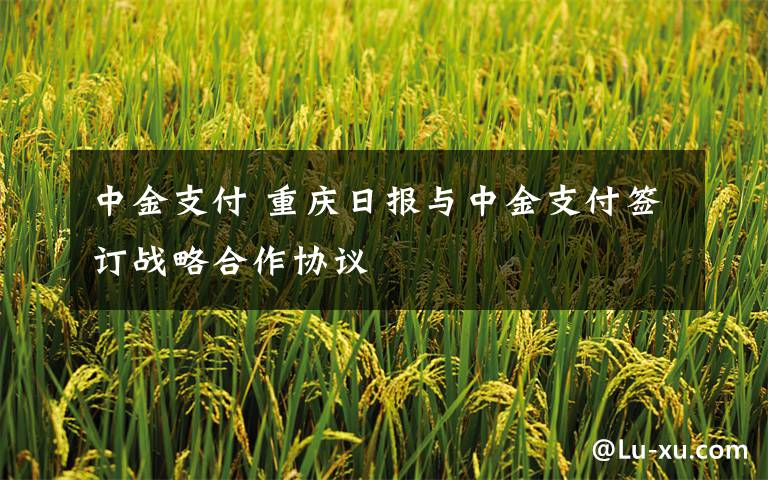 中金支付 重庆日报与中金支付签订战略合作协议