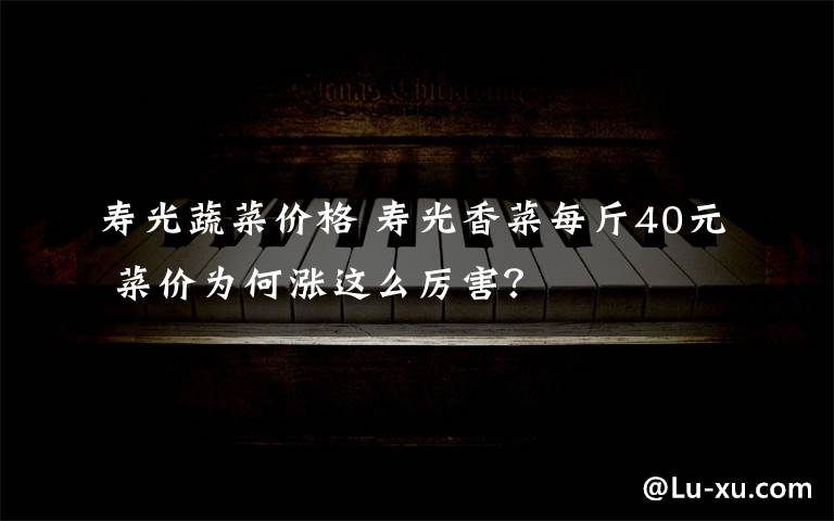 寿光蔬菜价格 寿光香菜每斤40元 菜价为何涨这么厉害?
