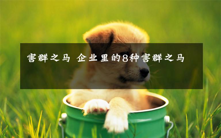 害群之马 企业里的8种害群之马